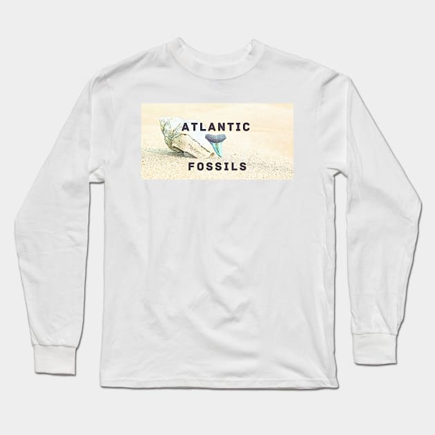 Conch Shell Atlantic Fossils Shark Tooth Long Sleeve T-Shirt by AtlanticFossils
